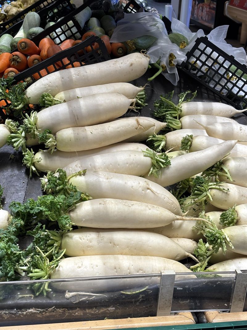 Daikon Radish Daikon Radish