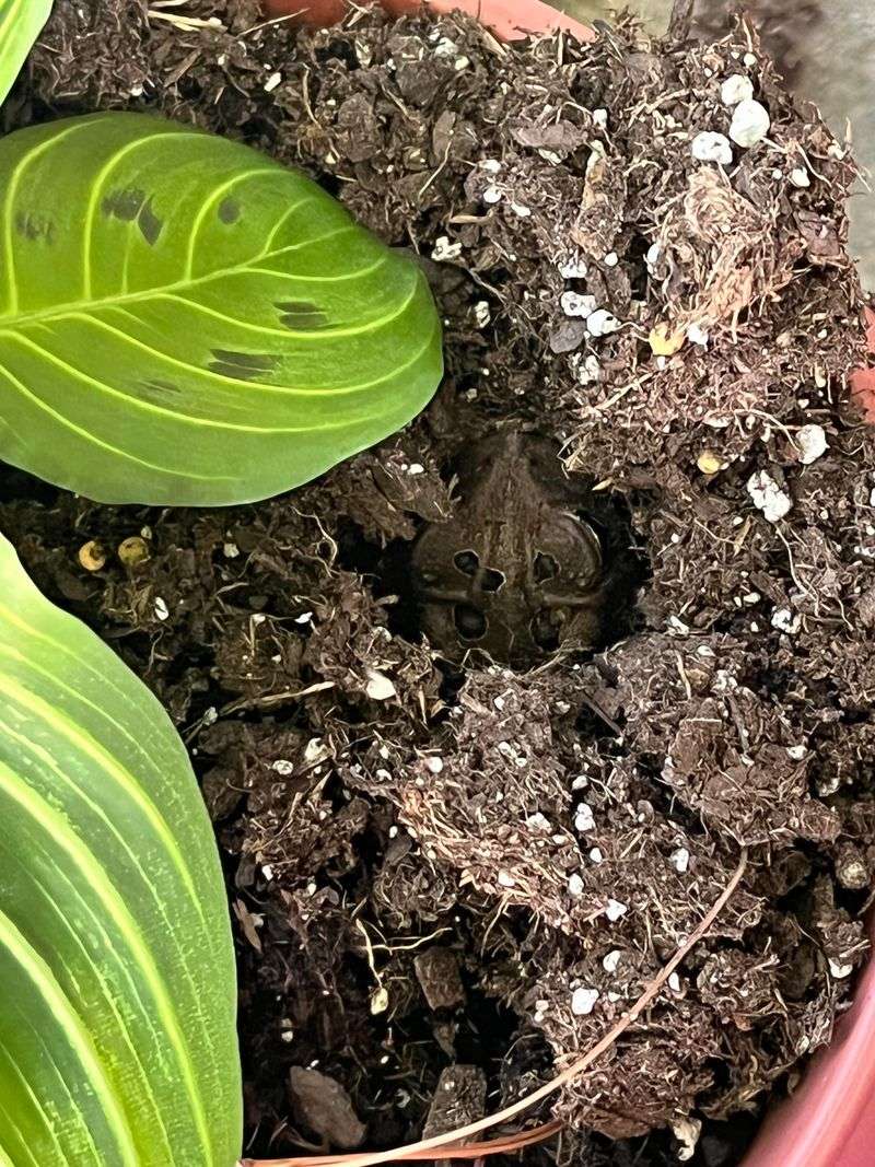 Damp Corners Became Shelter