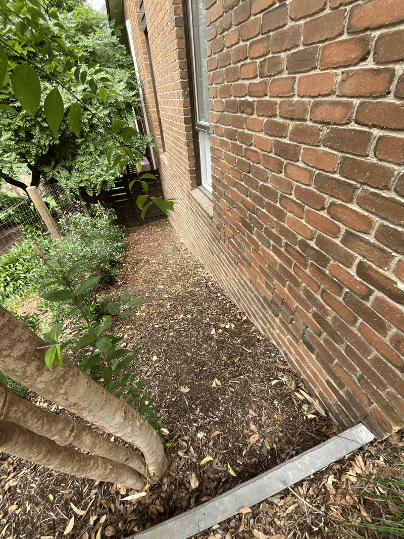 Damp Mulch Beds Pressed Against The Walls Damp Mulch Beds Pressed Against The Walls