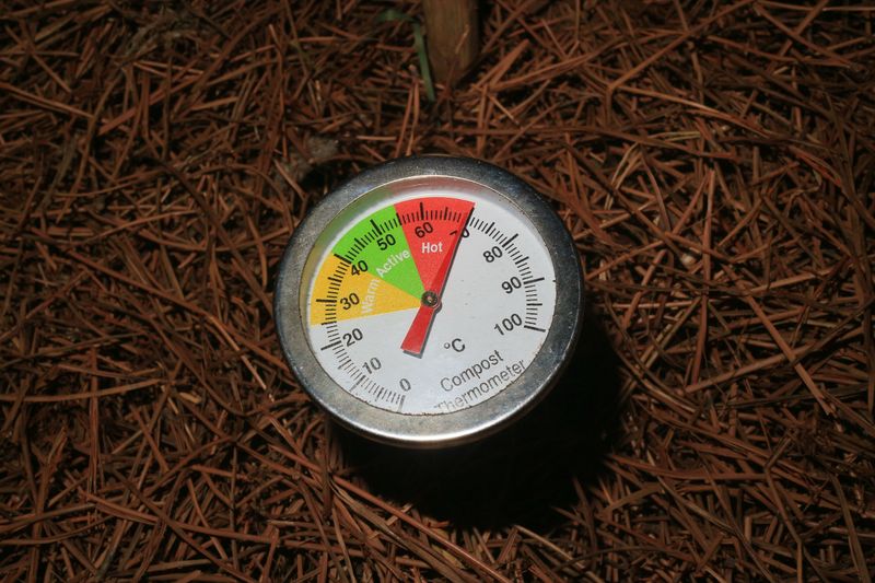 Daytime And Nighttime Temperatures Both Play A Role Daytime And Nighttime Temperatures Both Play A Role