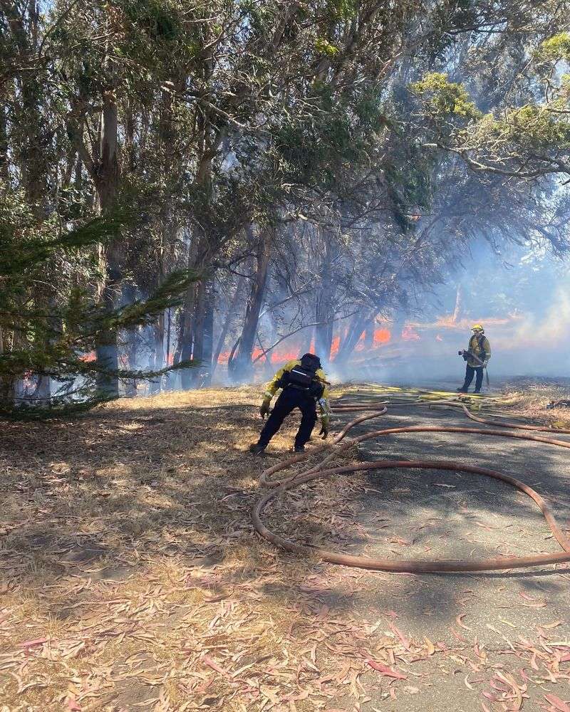 Debris Against Fences Creates A Fire Highway
