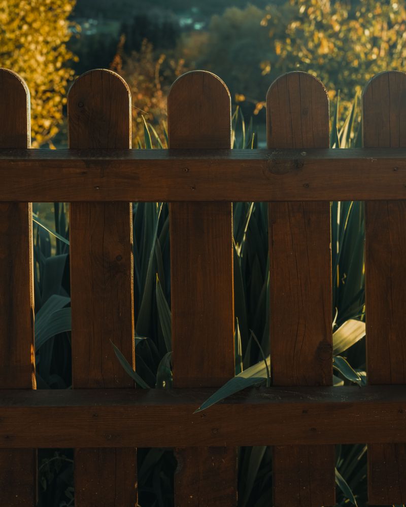 Deck And Fence Materials Decide How Fire Moves Through Your Yard Deck And Fence Materials Decide How Fire Moves Through Your Yard
