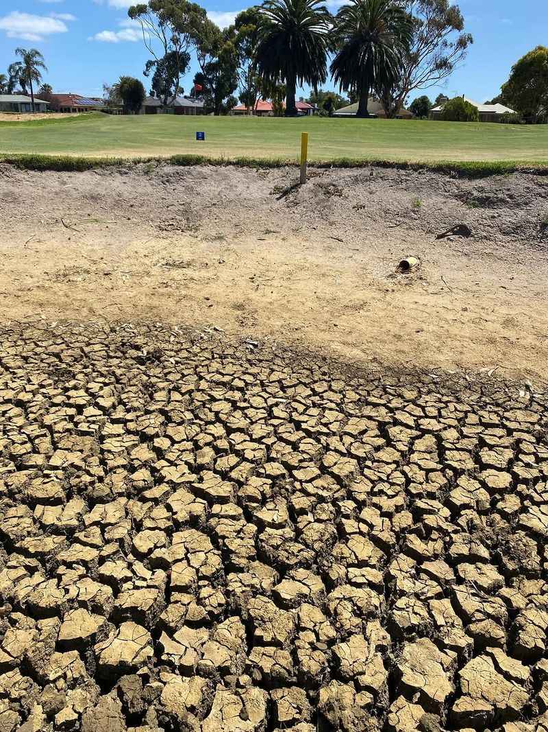 Deep Cracks Signal Major Moisture Loss Deep Cracks Signal Major Moisture Loss