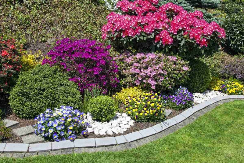 Deep Lawn Edging Helps Slow The Spread Deep Lawn Edging Helps Slow The Spread