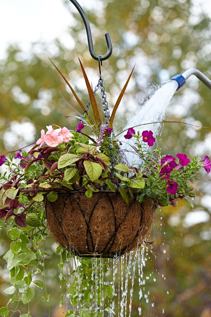 Deep Watering Beats A Quick Splash Deep Watering Beats A Quick Splash