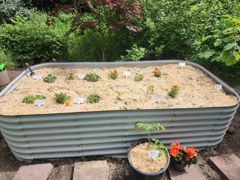 Delay New Planting Projects
