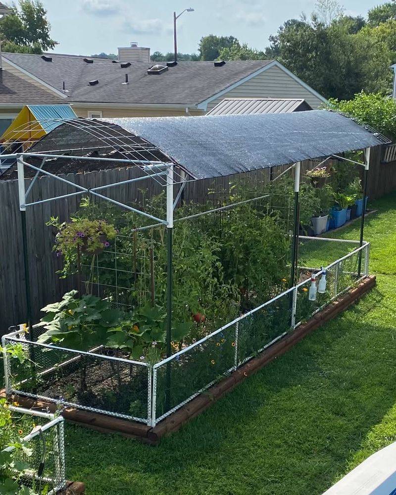 Delicate Plants Often Need More Protection