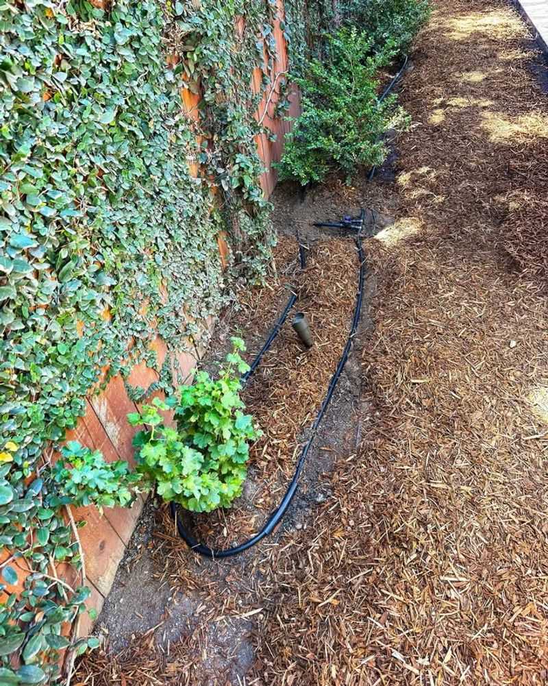 Deliver Water Under Mulch