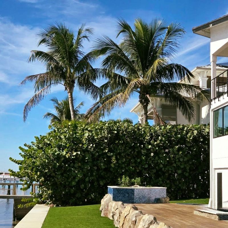 Dense Growth Softens The Pool Area