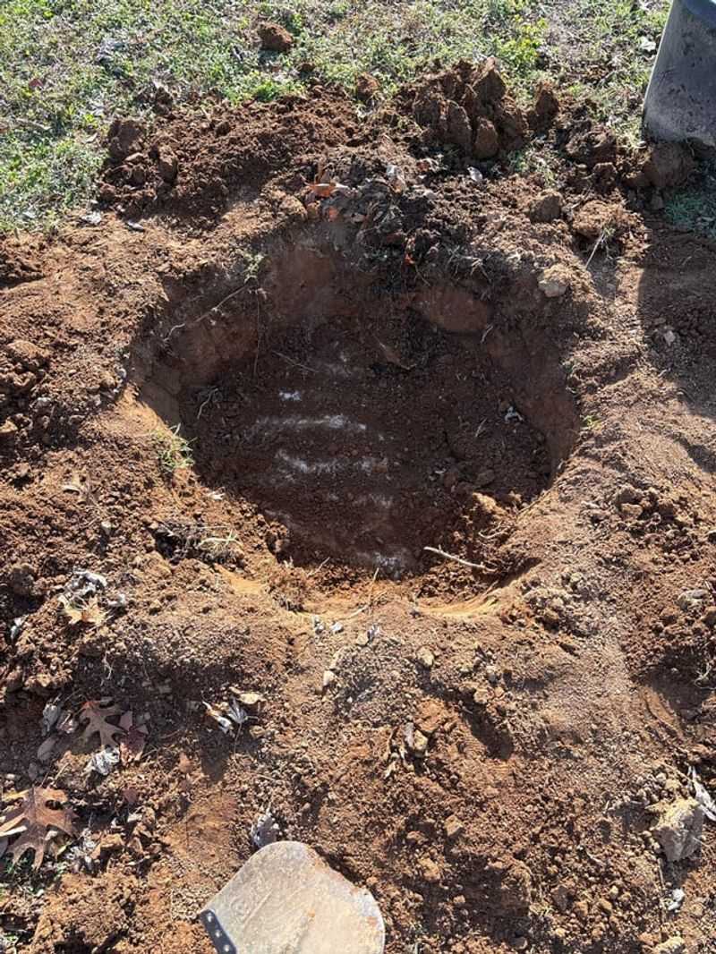 Dig The New Hole Before Removing The Plant Dig The New Hole Before Removing The Plant
