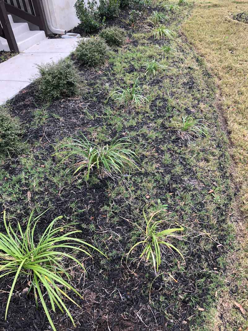 Dig When Soil Is Moist, Not Dusty Dig When Soil Is Moist, Not Dusty