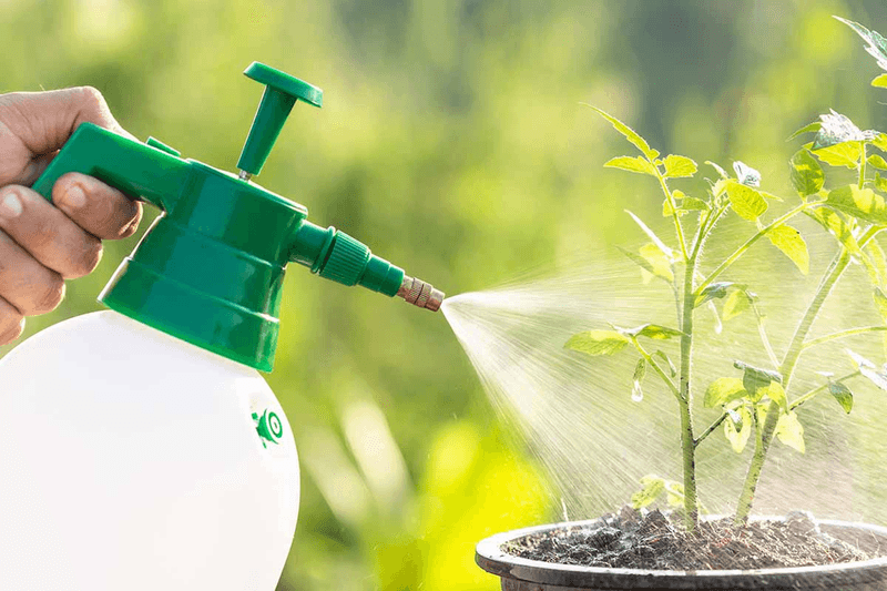 Diluted Fertilizer Is Easier On Roots
