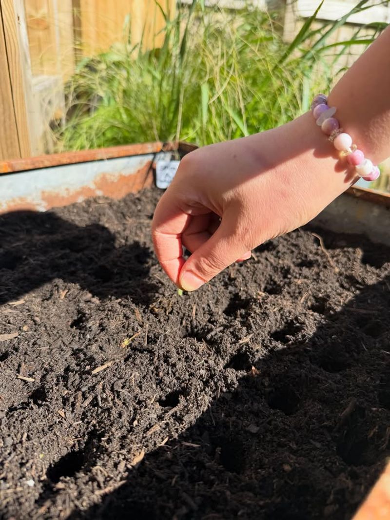 Direct Seeding Makes Planting Simple