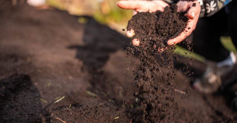 Do Bioplastics Actually Break Down In A Colorado Backyard Compost Pile