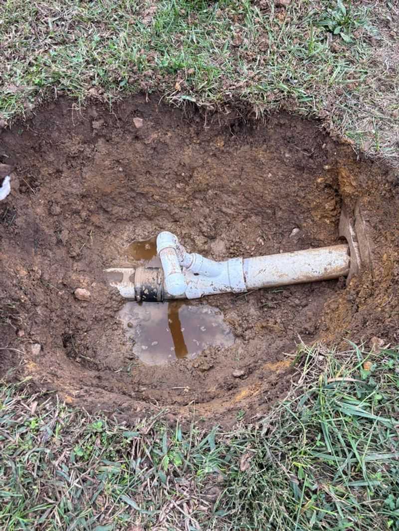 Do Not Add Extra Irrigation Do Not Add Extra Irrigation