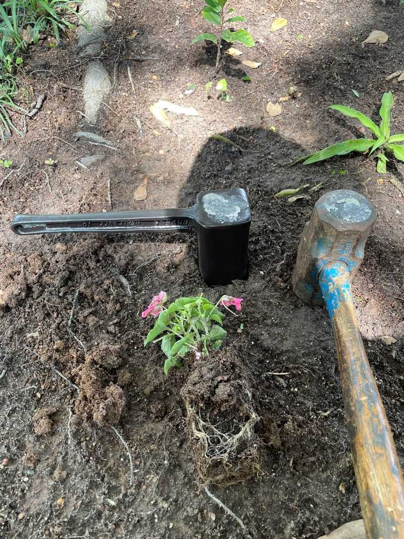 Do Not Dig Deep Or Till