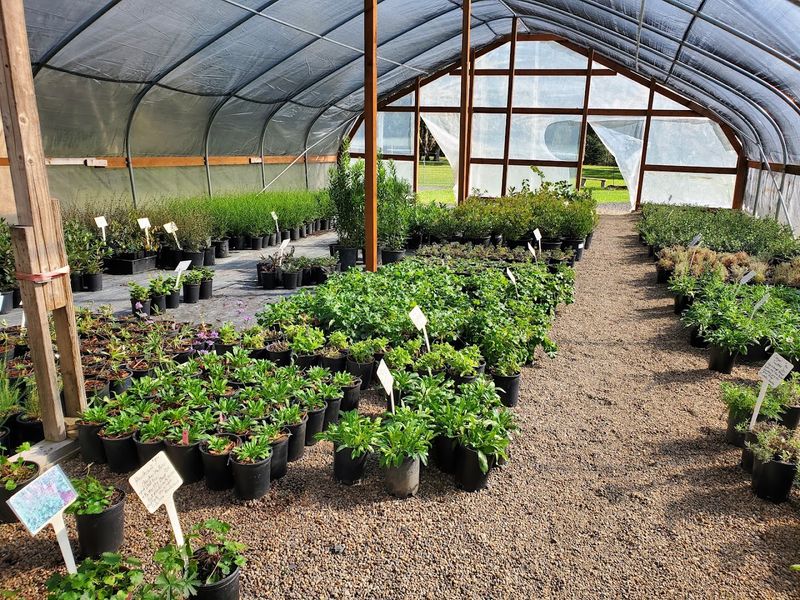 Doak Creek Is Eugene’s Habitat-Garden Gem Doak Creek Is Eugene’s Habitat-Garden Gem