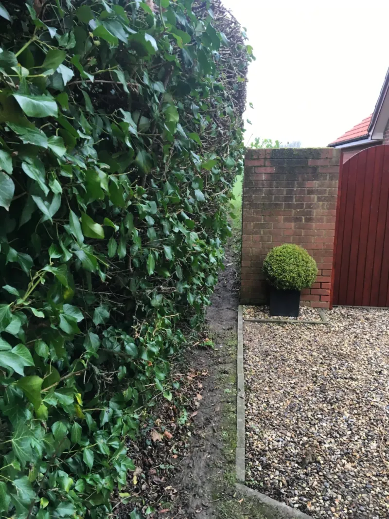 Document The Damage Before Cutting