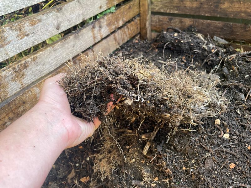 Don't Compost Grass With Live Roots Don't Compost Grass With Live Roots