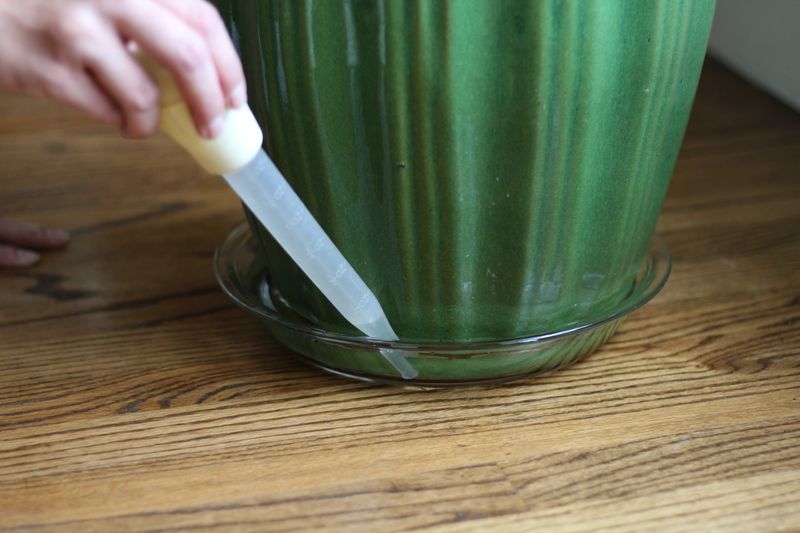 Drip Trays Need Emptying After Watering Drip Trays Need Emptying After Watering