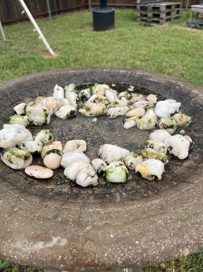 Droppings Can Spread Disease Quickly