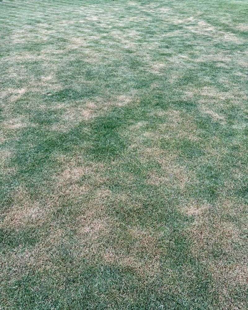 Drought Dormancy May Be Starting