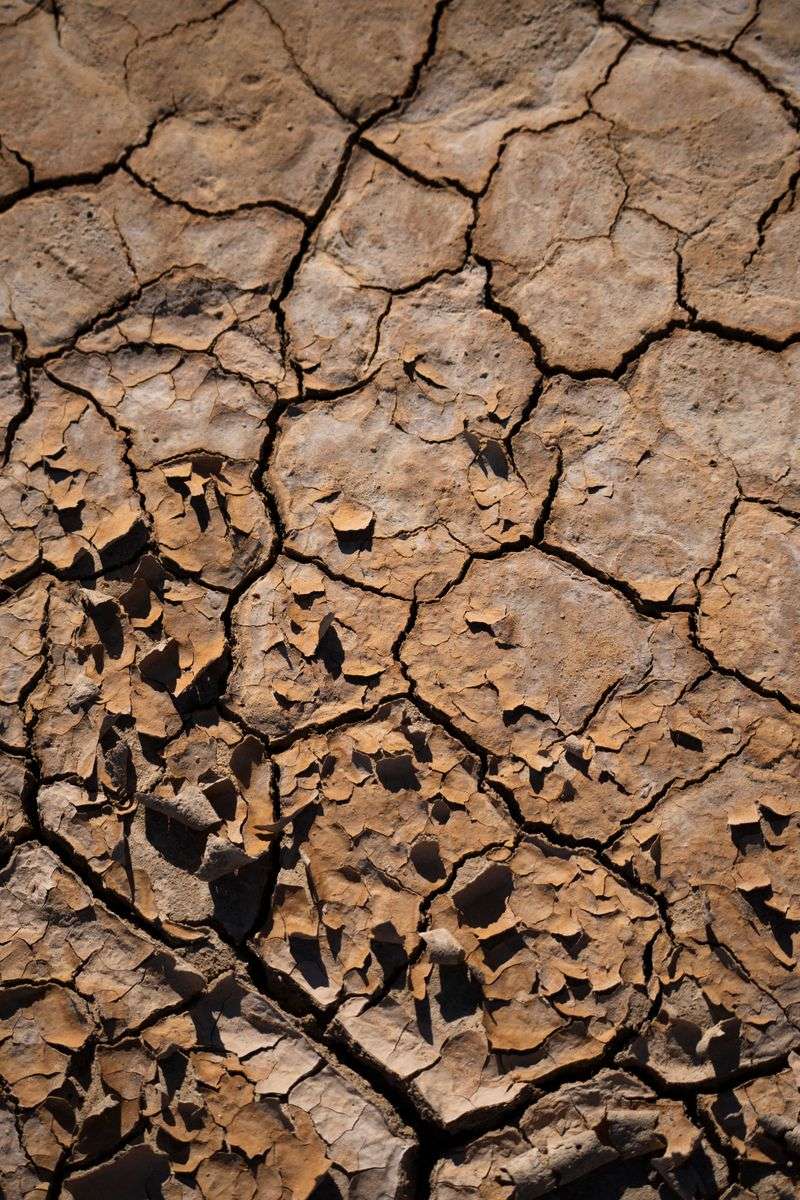 Drought Drained Energy Reserves Drought Drained Energy Reserves