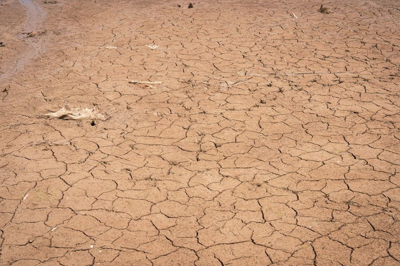 Drought Rules Limit Outdoor Water Use Drought Rules Limit Outdoor Water Use
