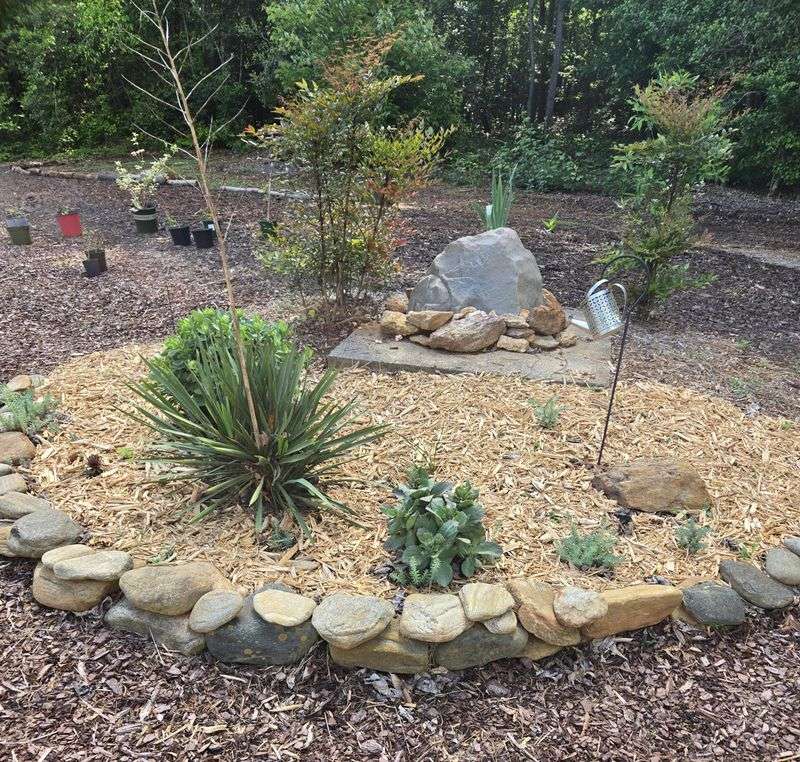 Drought-Tolerant Plants Handle Pebbles Best