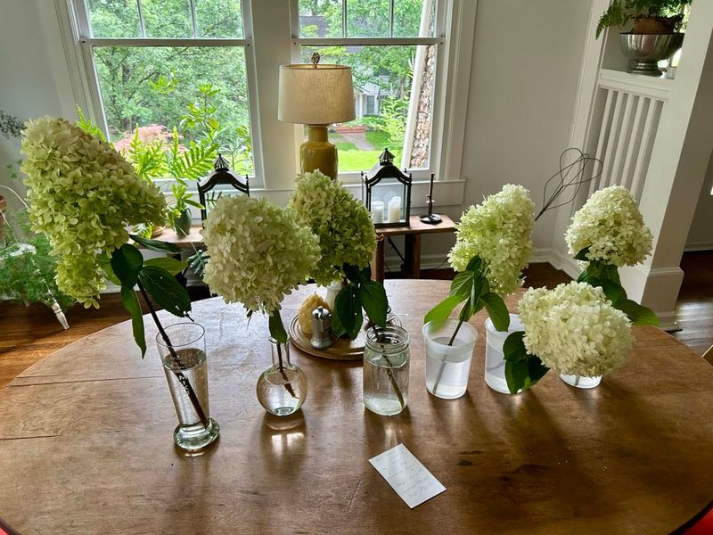 Dry Blooms In A Vase With Shallow Water