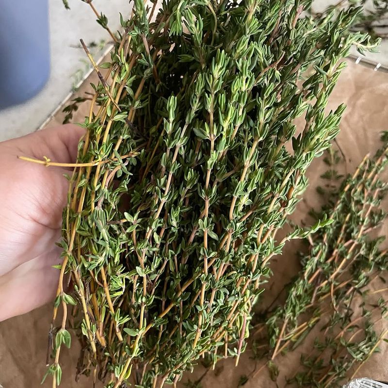 Dry Extra Sprigs In Small Bundles Dry Extra Sprigs In Small Bundles