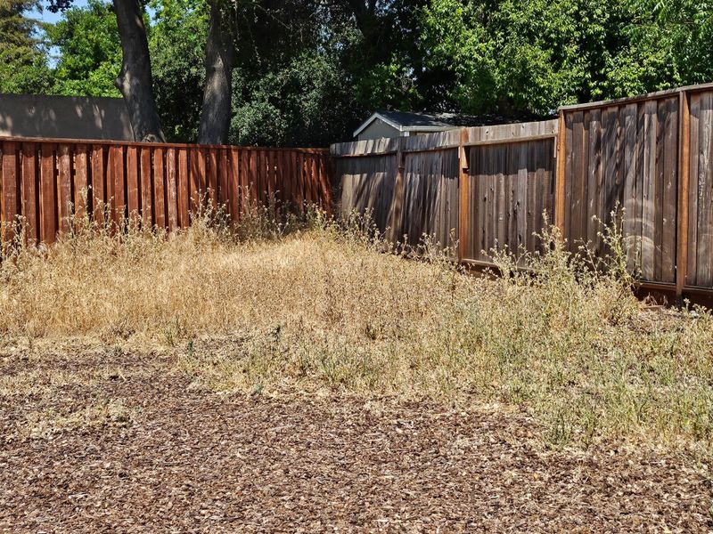 Dry Grass Can Trigger Weed Abatement Dry Grass Can Trigger Weed Abatement