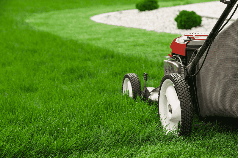 Dry-Grass Mowing Only Dry-Grass Mowing Only