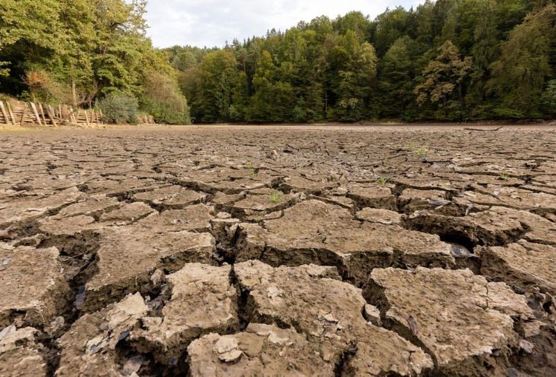 Dry Soil Is Not A Problem