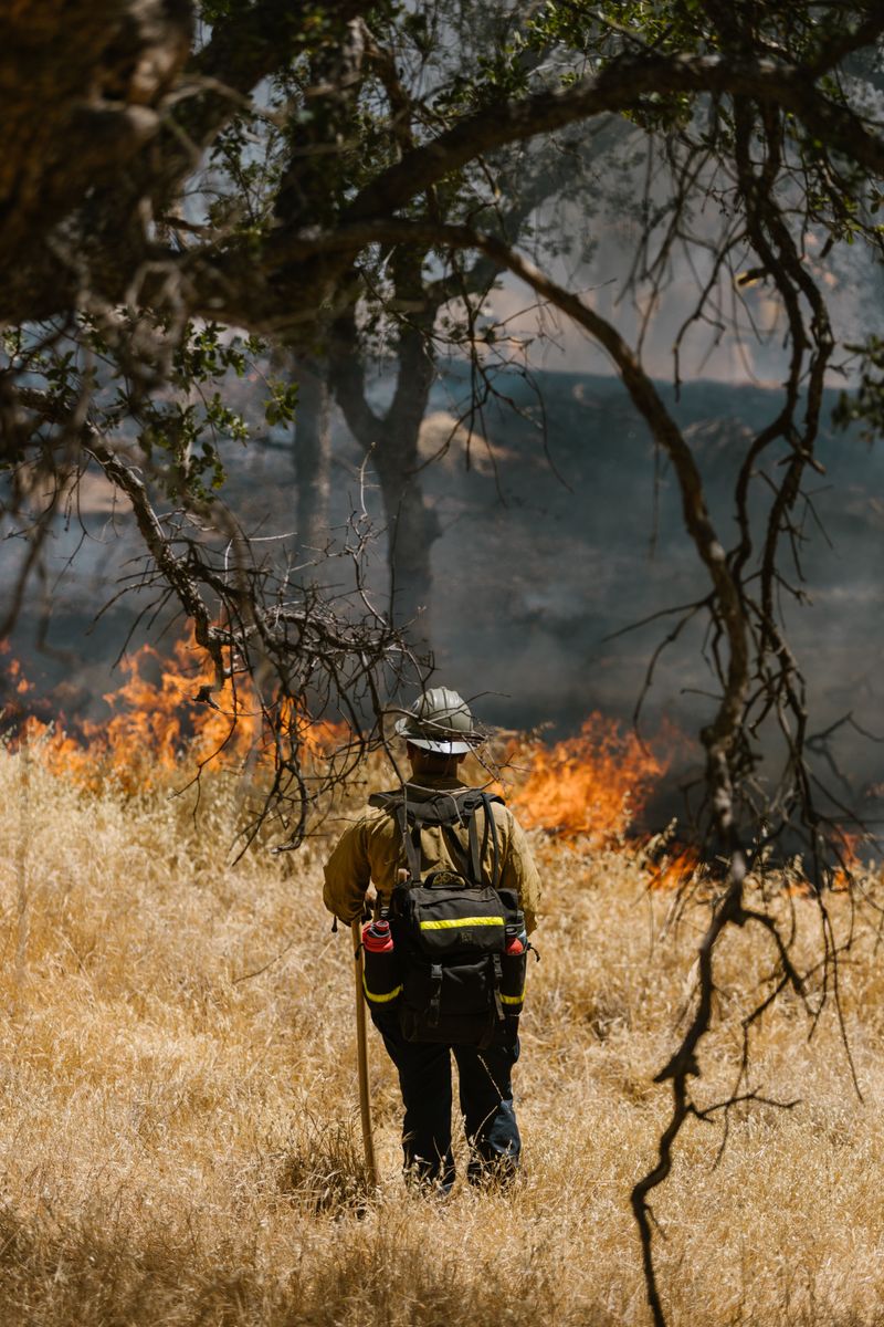 Drying Vegetation Raises Wildfire Risk Drying Vegetation Raises Wildfire Risk