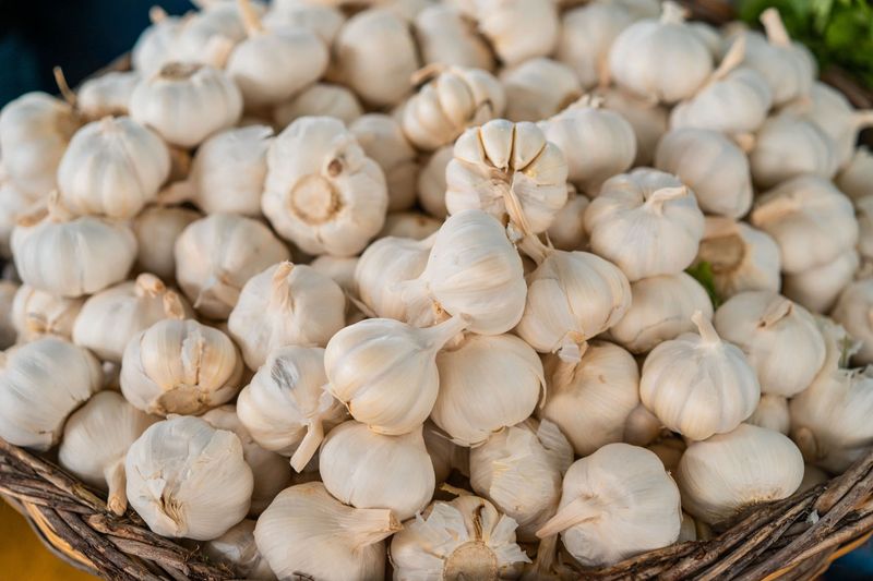 Early Ordering Improves Your Odds Of Healthy, Disease-Free Bulbs Early Ordering Improves Your Odds Of Healthy, Disease-Free Bulbs