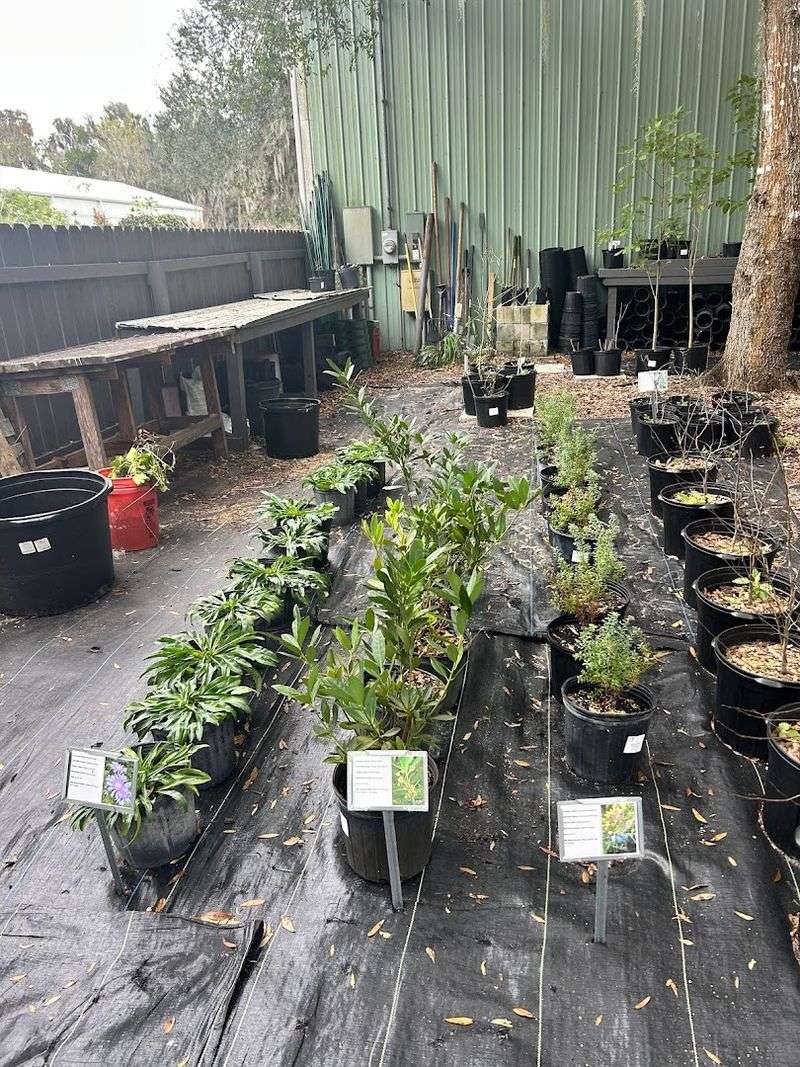 Eden Of Wings In Enterprise Puts Host Plants First Eden Of Wings In Enterprise Puts Host Plants First