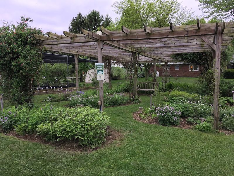 Edge Of The Woods Native Plant Nursery - Orefield Edge Of The Woods Native Plant Nursery - Orefield