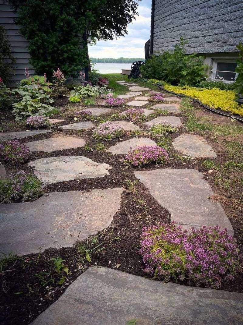 Elfin Thyme Makes Tiny Cracks Look Intentional