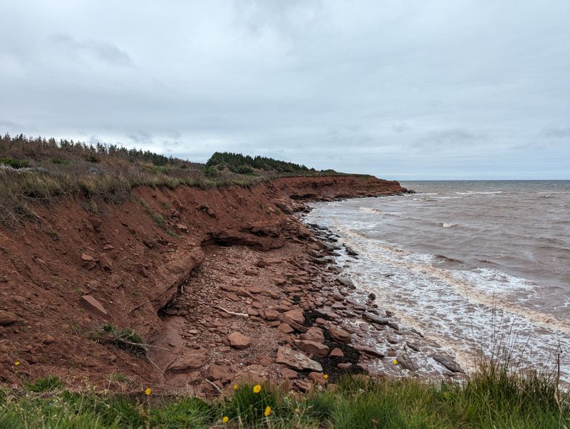 Erosion Affects Plantings Close To The Water Erosion Affects Plantings Close To The Water