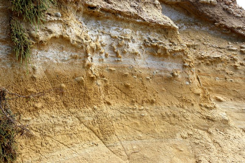 Erosion Strips Away Microbial Life