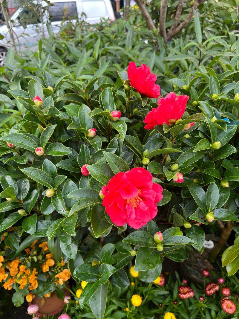 Even Moisture Does Not Mean Soggy Soil