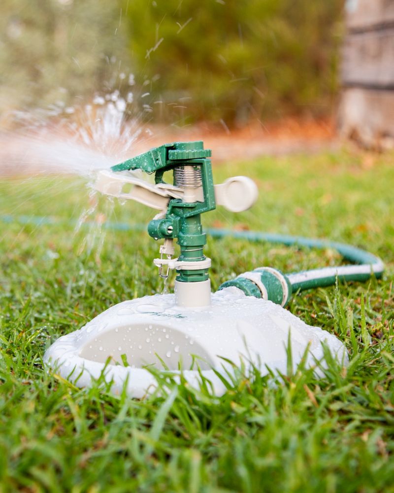Evening Sprinklers Evening Sprinklers