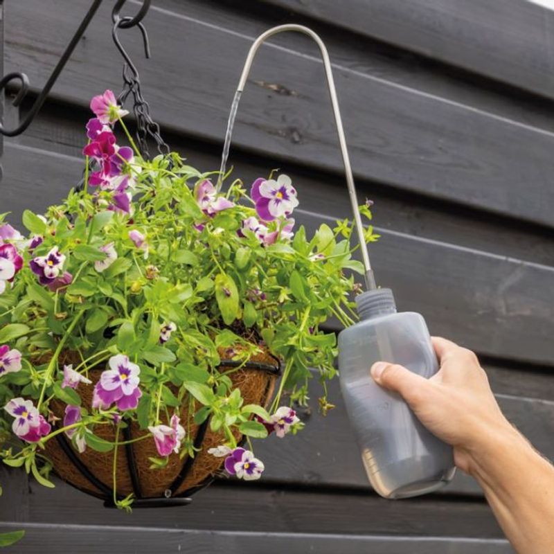 Evening Watering Works As A Backup Evening Watering Works As A Backup
