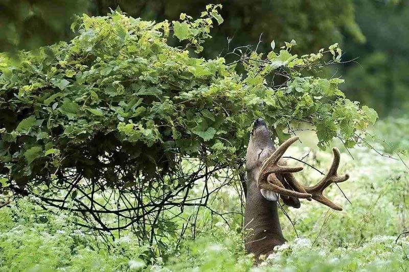 Every Branch Sits Within Easy Browsing Reach