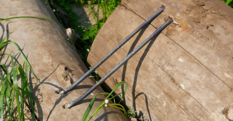 Every South Carolina Gardener Should Try This Rot-Proof Bamboo Stake Alternative