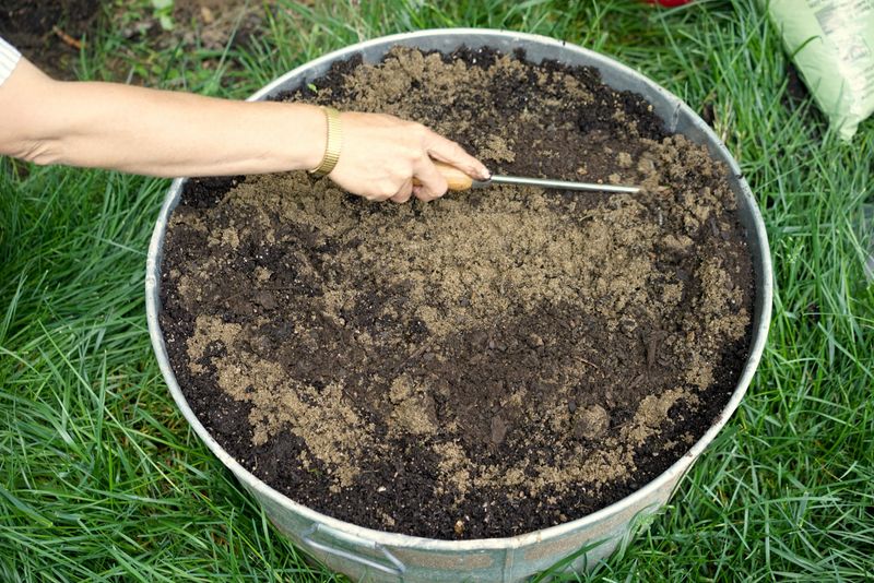 Excess Sand Without Organic Matter Excess Sand Without Organic Matter