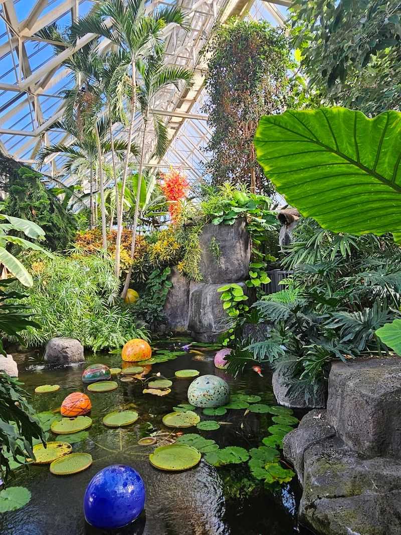 Explore The Glasshouses At Franklin Park Conservatory And Botanical Gardens Explore The Glasshouses At Franklin Park Conservatory And Botanical Gardens
