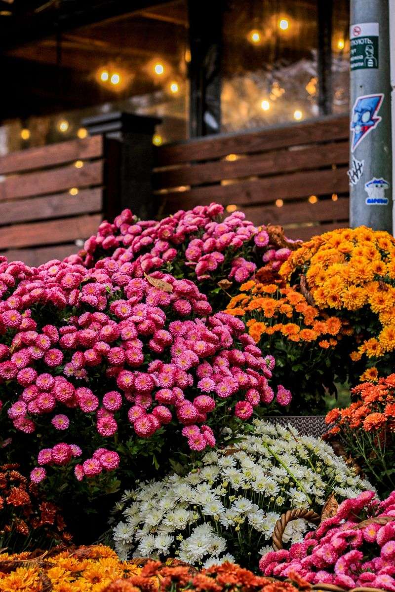 Extra Tips For Even Longer-Lasting Flowers