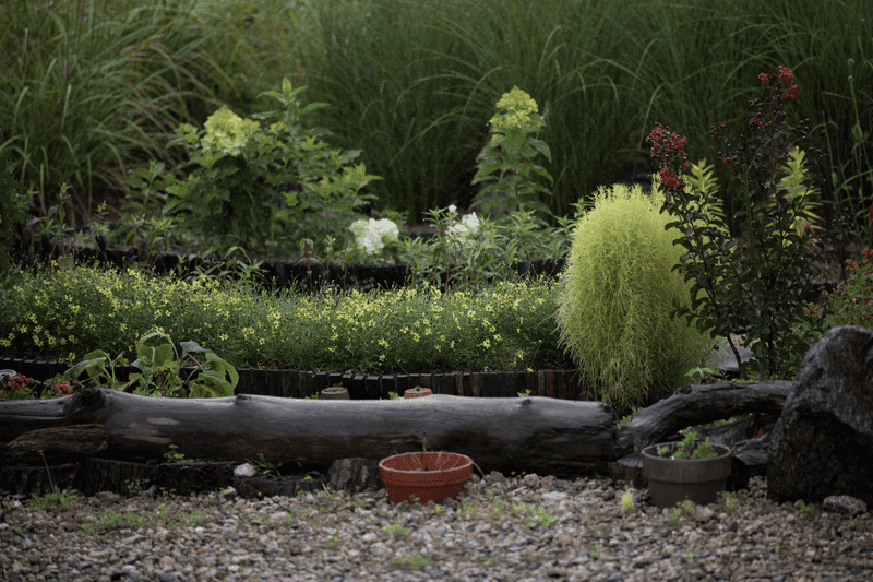 Facing Too Much Yard Disturbance